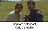 Sheppard dfendant Avrid de la bte