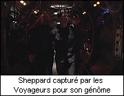 Sheppard captur par les Voyageurs pour son gnme