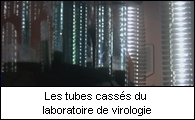 Les tubes casss du laboratoire de virologie